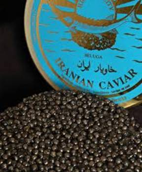 Am Persia Com Il Caviale